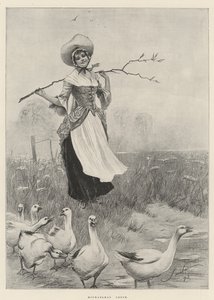 Gansos de San Miguel de Robert Sauber